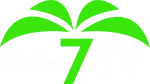 Elche 7TV (Valencia)