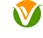 Vida FM (Madrid)
