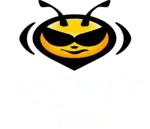 Beat Digital 100.9 (México)